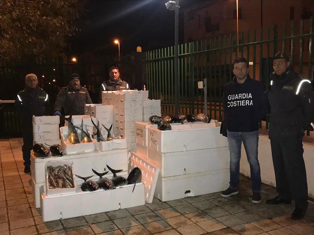 Roseto Capo Spulico: sequestrati 830 chili di tonno rosso sotto misura e pesce non tracciato