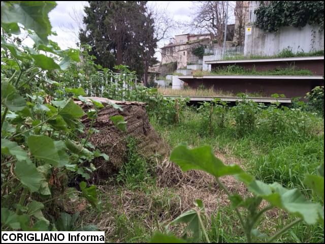 Rossano - Cura verde pubblico, Villa Labonia ai privati