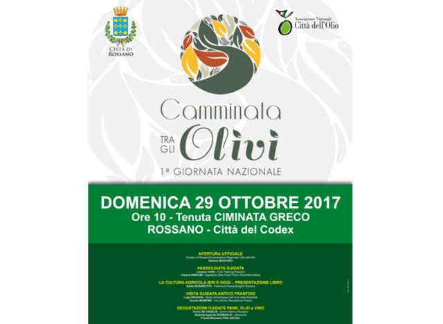 Rossano: domenica 29 camminata tra gli olivi