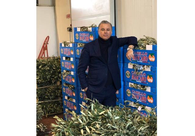 Domenica Palme, Rossano a Piazza S. Pietro 