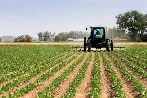 Nonostante il coronavirus per la Coldiretti la campagna non si ferma