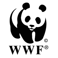 WWF Calabria Passata la paura per Covid-2019, il rischio  che tutto ritorni come prima o forse anche peggio