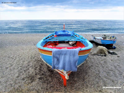 Bene la ricerca applicata alla pesca