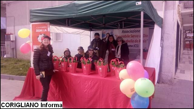 Anche a Rossano  presente il gazebo dedicato alla raccolta fondi per LAISM