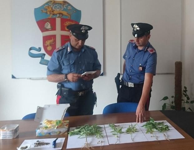 24 ore di controlli straordinari a Corigliano da parte dei Carabinieri