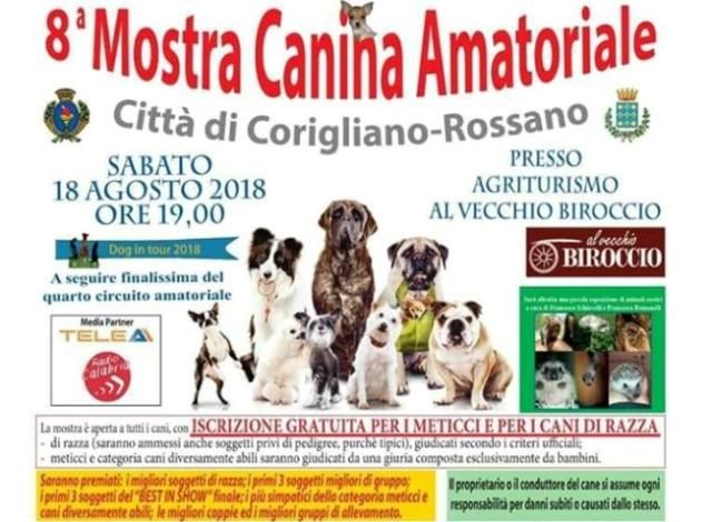 Al via la Mostra Canina 2018 Citt di Corigliano-Rossano