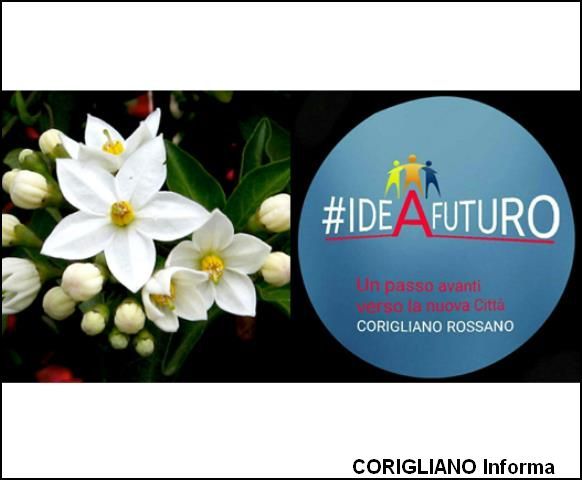 Cantinella, PSA, Orgnanizzazione Comunale e Nucleo di Valutazione: invertire la rotta!