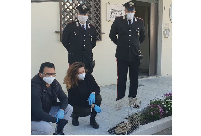 Carabinieri della Compagnia di Corigliano salvano un falco insieme al vice sindaco del comune di canna