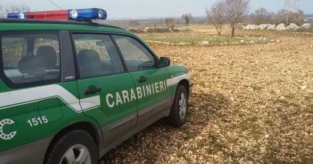 Cassano Jonio: Sorpresi a vendere agrumi senza rispettare il Dpcm sono stati denunciati
