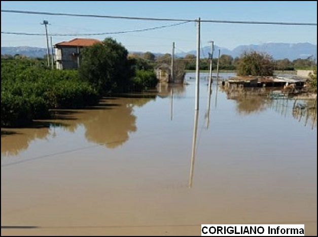 Esondato il fiume Crati. Foto e Video