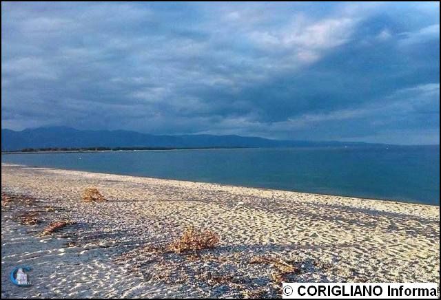 Frode fiscale milionaria: Assolto il Presidente di una Cooperativa di Pescatori