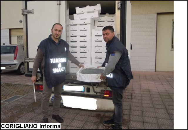 GDF: MAXI SEQUESTRO DI NOVELLAME DI  SARDA, UN SOGGETTO DENUNCIATO