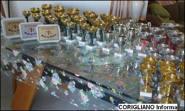 Il 19 Agosto Mostra Canina Citt di Corigliano
