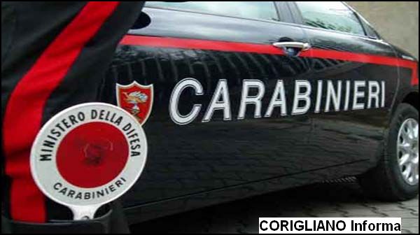 Incensurato arrestato a Cassano allIonio per coltivazione di sostanze stupefacenti