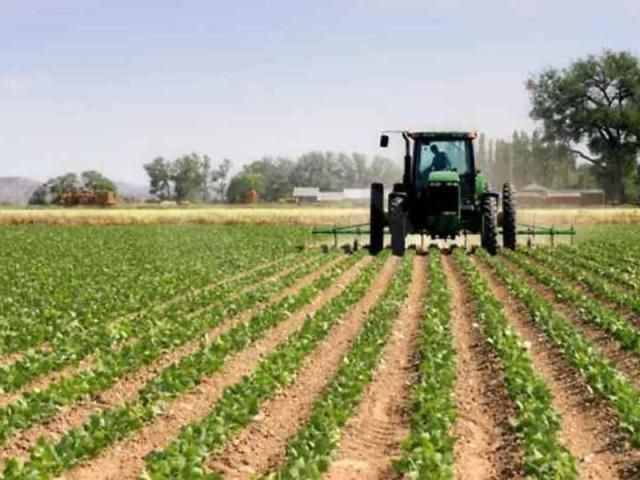 Regione: Pagamenti PSR e Domanda Unica: in arrivo altri sette milioni e mezzo