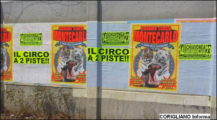  PER LA PRIMA VOLTA A SCHIAVONEA IL CIRCO MONTECARLO A 2 PISTE
