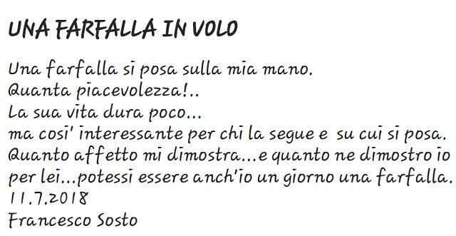 Una farfalla in volo, poesia di Franco Sosto
