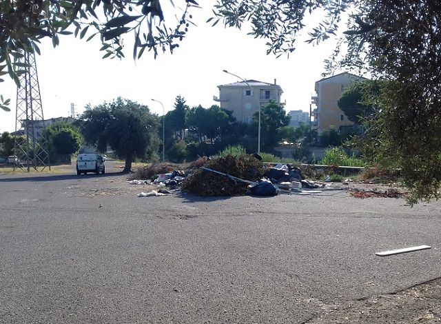 Verde pubblico, continuano interventi